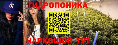 прущие крисы Конаково