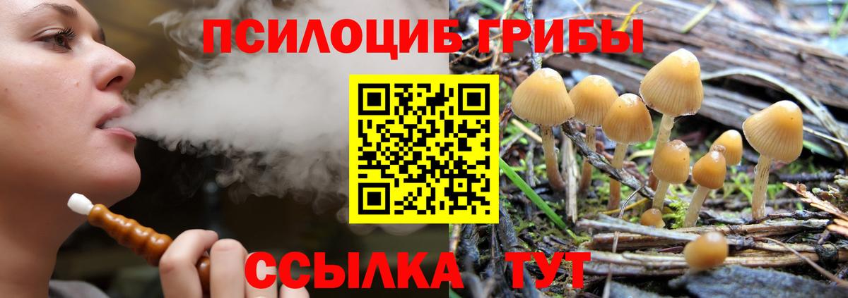 Псилоцибиновые грибы MAGIC MUSHROOMS Энгельс