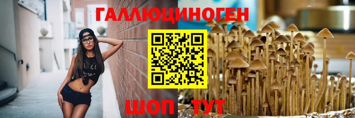 Галлюциногенные грибы MAGIC MUSHROOMS  Вход с VPN  Галлюциногенные грибы прущие грибы  наркошоп  Энгельс 