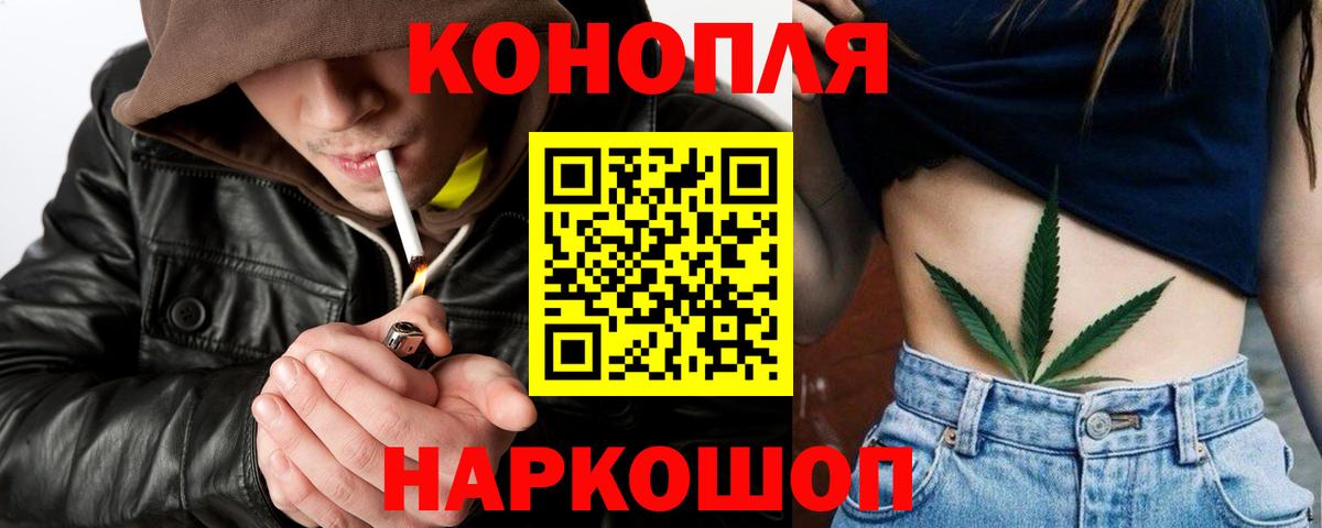 МАРИХУАНА сатива Энгельс